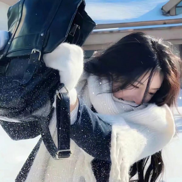 超级情报员麦汉4 海报