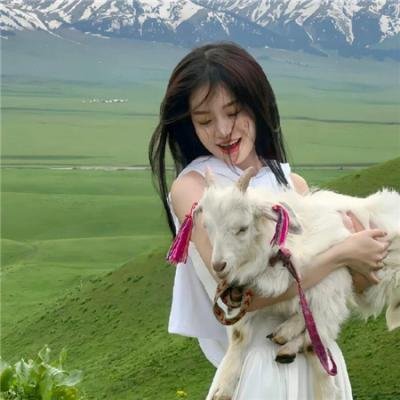 四美挑情 海报