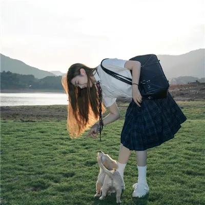 鸡犬不宁 海报