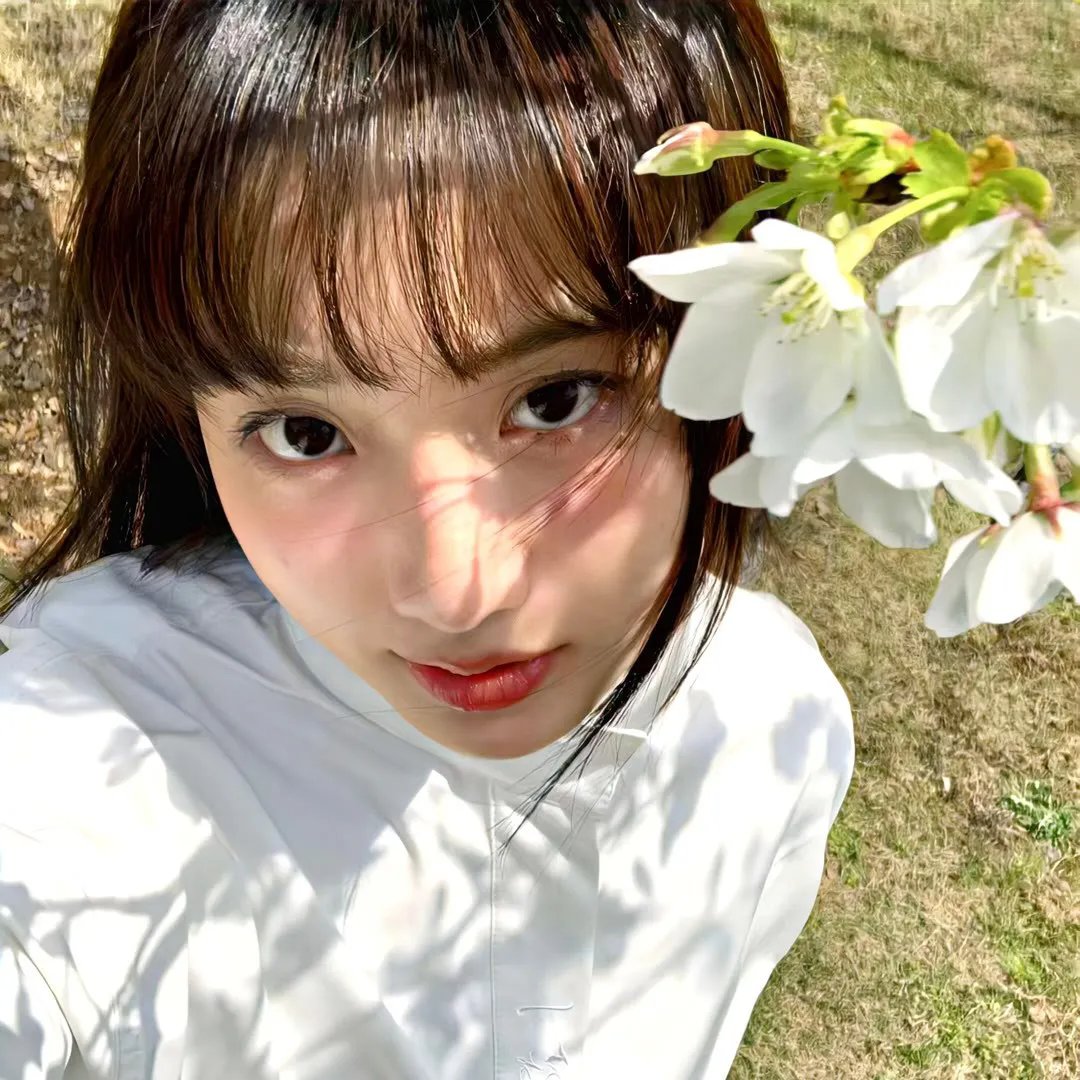 假装我是美羽小姐 海报